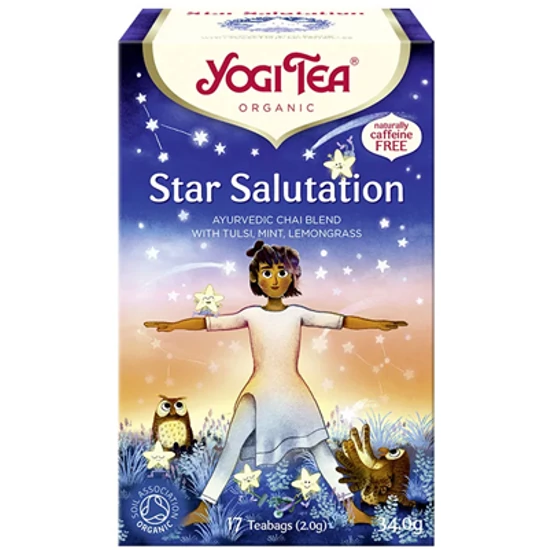 Yogi Tea Csillagüdvözlet, 17 filter x 2g (34g)
