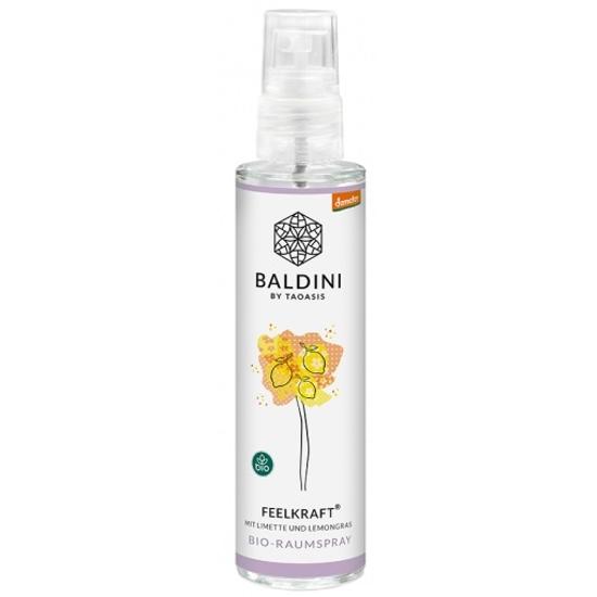 Baldini Légtérillatosító spray, Érezd az erőt, 50ml