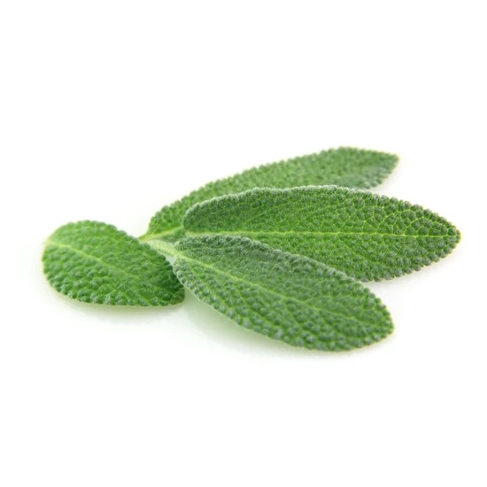 Alteya Organics Zsálya (Salvia officinalis) illóolaj - bio 10ml